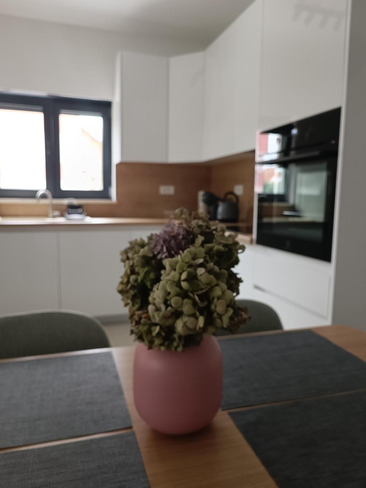 Oaza Appartement *